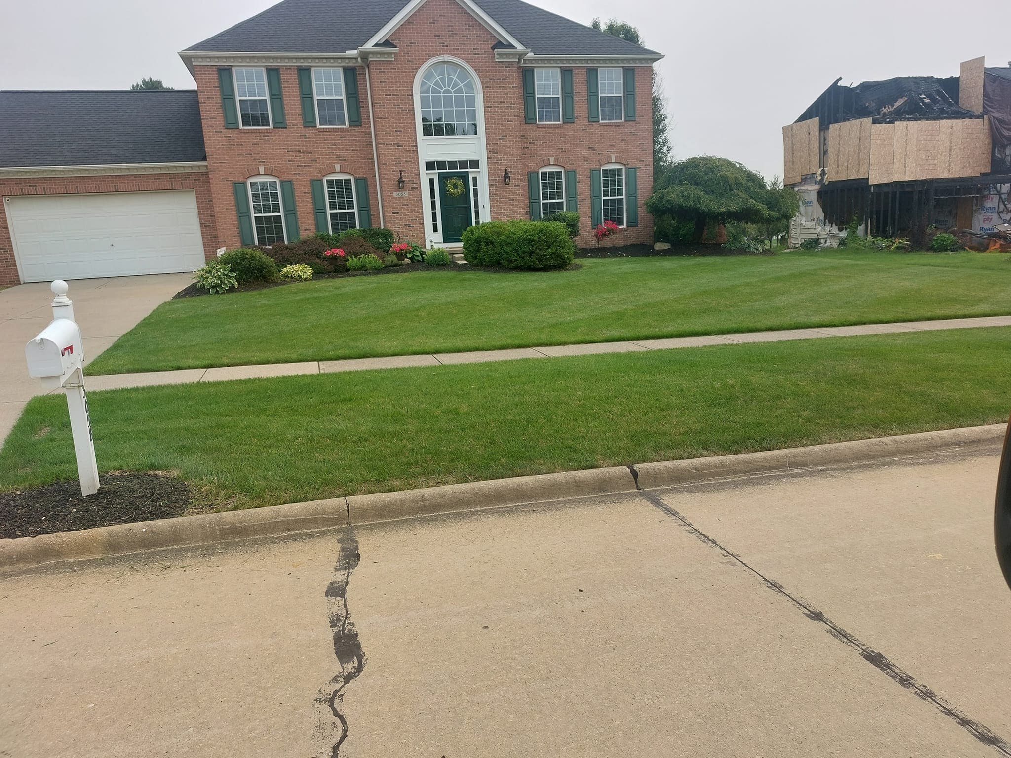 Freshly cut grass